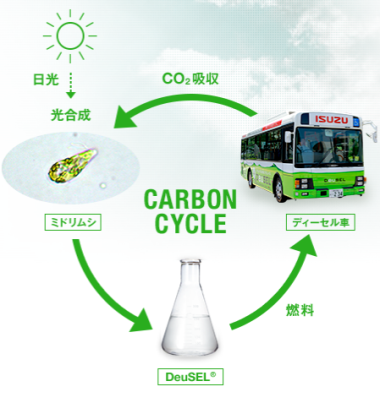 deusel carboncycle